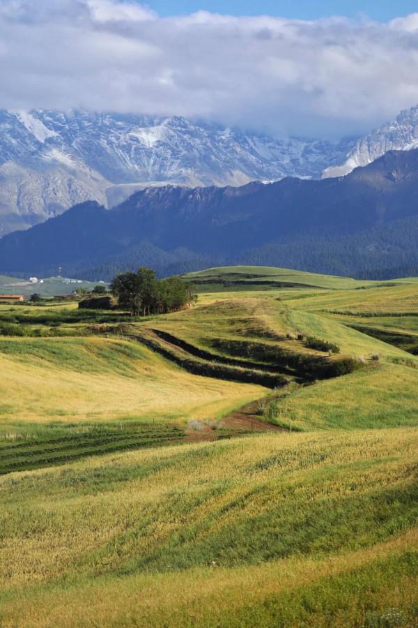絕美卻鮮為人知！離新疆烏魯木齊200多公里處，藏著一處天山麥海