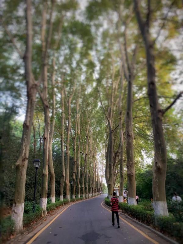 七絕·湯山金烏溫泉公園題名考（外5首）