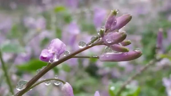 2019年，27歲母親攜三子墜河溺亡，兩份遺書述說悲劇真相