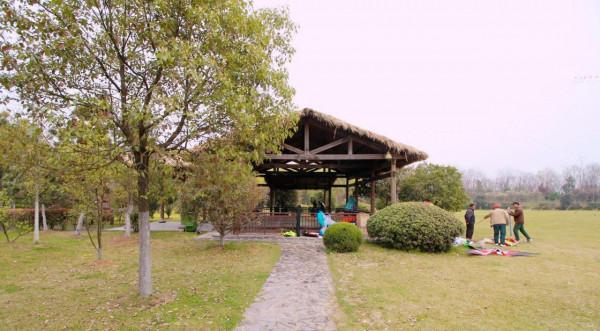 國家中心城市或增加到15個?6城納入規劃,合肥榜上有名 國家中心城市或增加到15個?6城納入規劃,合肥榜上有名