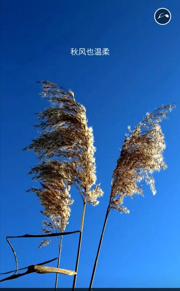 五常的秋天，不想和你說再見