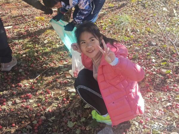 徒步延慶鳳凰坨,登高賞秋色 徒步延慶鳳凰坨,登高賞秋色