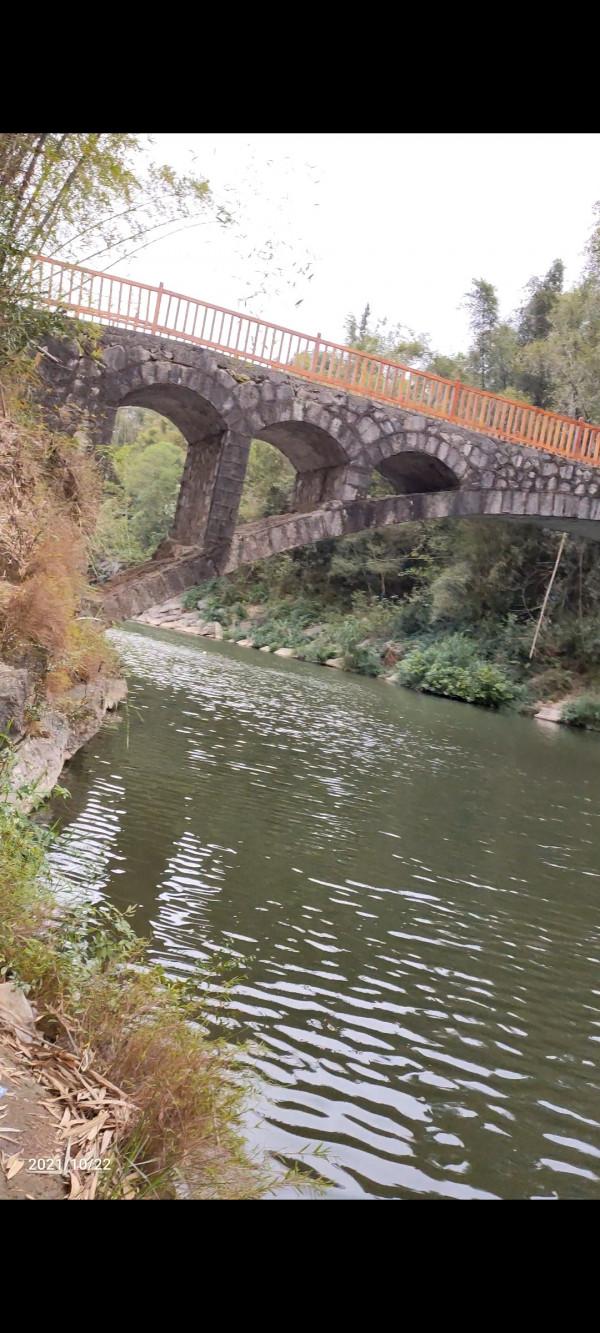 「秋釣」民工兄弟野釣小河，拉1米多飛鉛，居然釣到漂亮大鯉並果斷放生