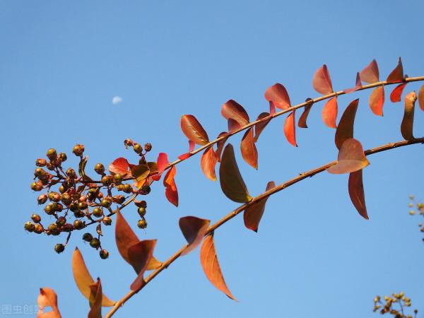 雅稱、代稱、它稱、別稱彙總(七) 雅稱、代稱、它稱、別稱彙總(七)