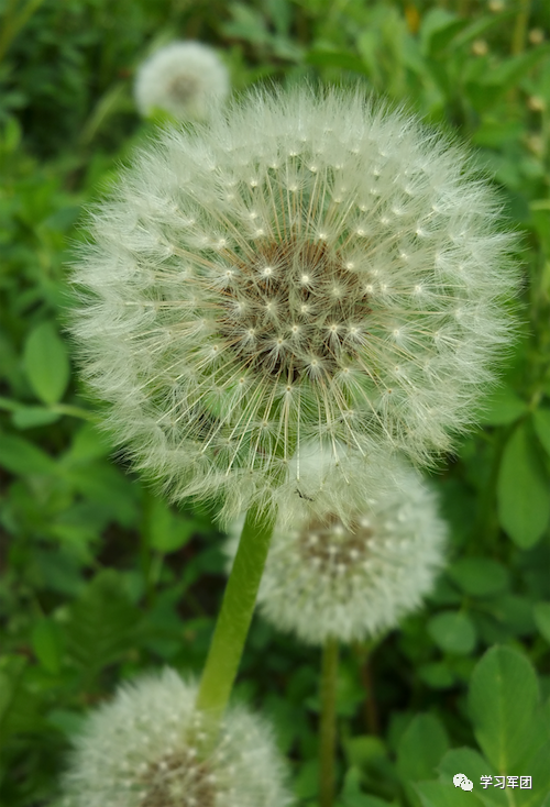 晚間悅讀丨提高睡眠質量，這4種維生素尤為重要