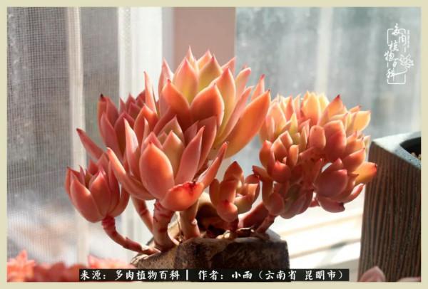 用一份熱愛，溫暖一段時光