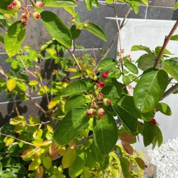 39歲日本太太堅持斷舍離，把家收拾得井井有條，值得列為學習榜樣