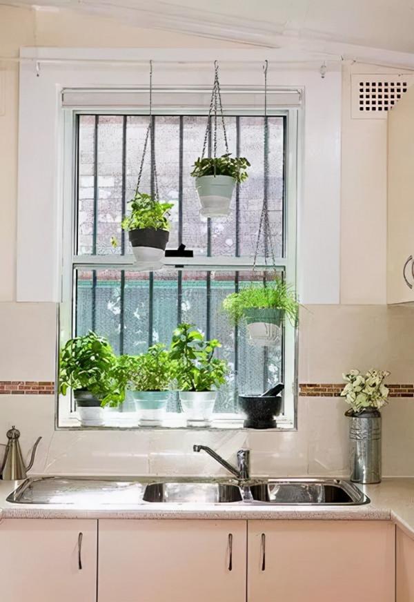 純乾貨 | 養花人必知的20條常識,收好了 純乾貨 | 養花人必知的20條常識,收好了