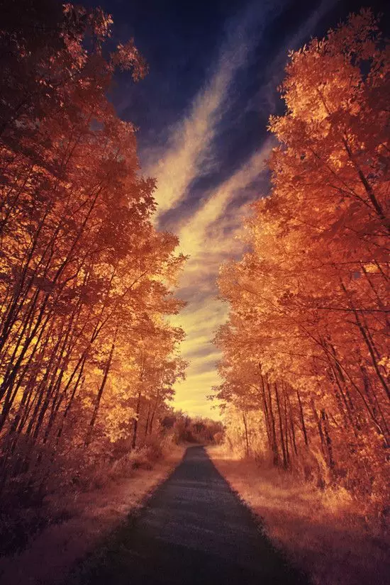 品,秋的味道 品,秋的味道