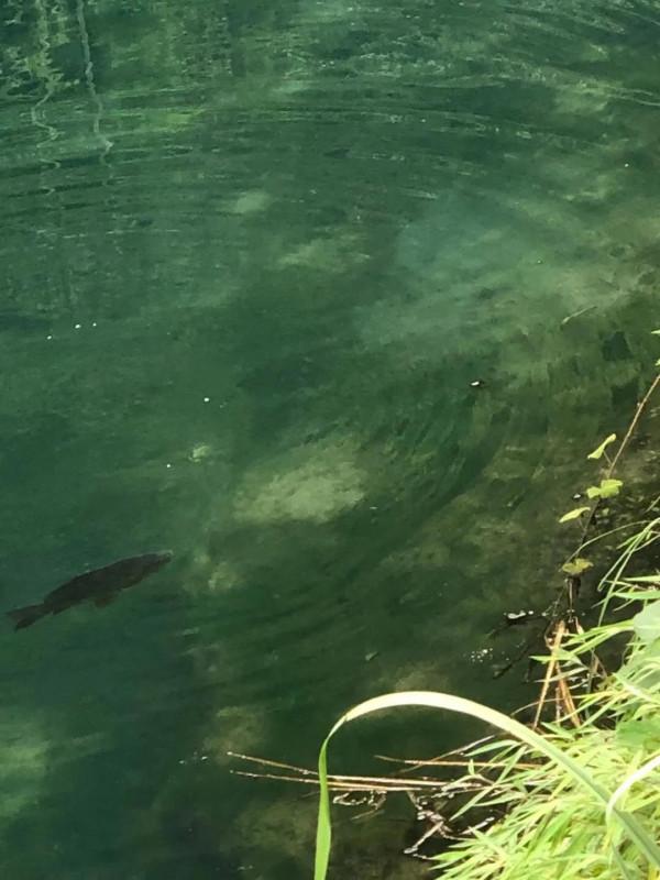 遊荔波臥龍潭 遊荔波臥龍潭