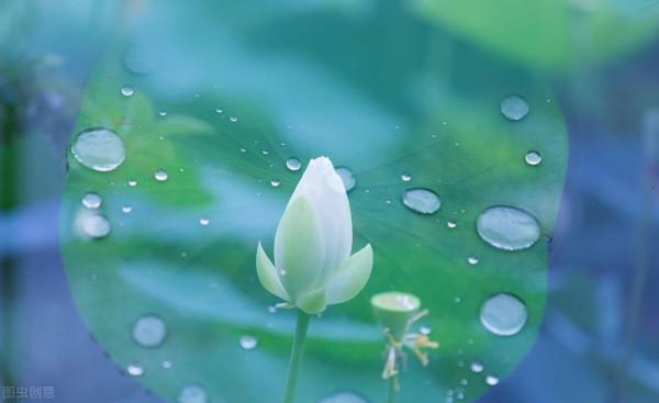 東方文學《觀雨賞荷，風乾露枝留殘香，誰人為此建暖房》