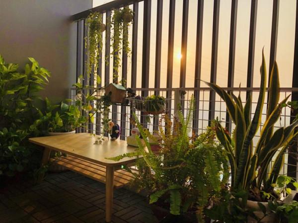 小哥挺有耐心，拒絕斷舍離30㎡塞滿書和手辦，像是誤入了一家書店