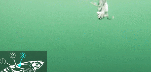 「漁具資訊」「issei」AME VIB