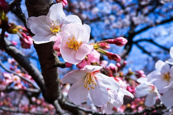 1.10-16十二星座事業運勢，制定長遠的計劃，才會有更大的飛躍