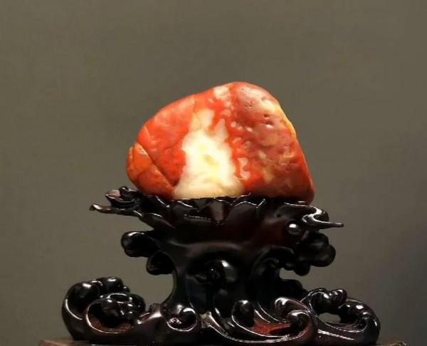 新疆尋寶戈壁精靈 新疆尋寶戈壁精靈