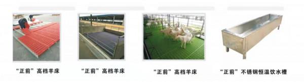 我國牛羊畜牧業機械化養殖裝置廠現狀