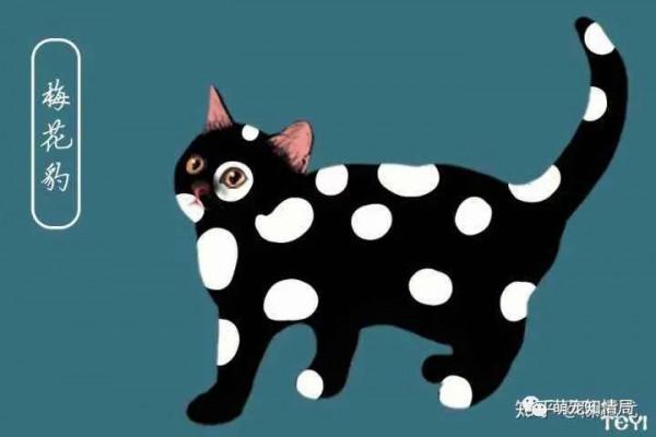 《相貓經》教你如何欣賞貓的顏色