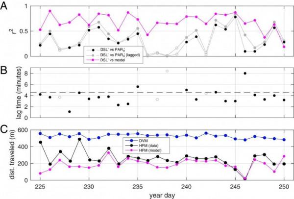 浮游生物可對雲層光線變化做出敏感反應