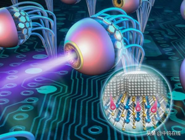 新型二硫化鉬用於仿生眼 新型二硫化鉬用於仿生眼