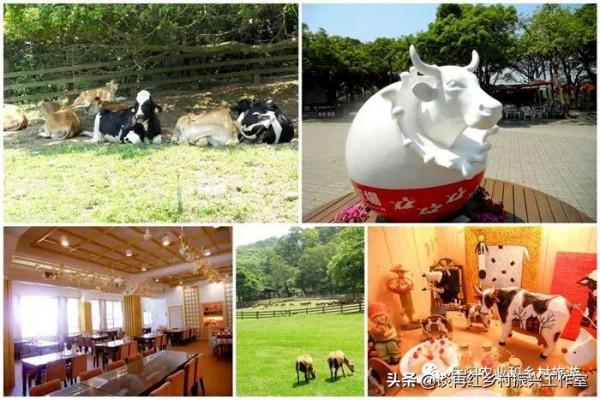 休閒農業農旅鬆散結合是難賺錢的主要原因之一 休閒農業農旅鬆散結合是難賺錢的主要原因之一