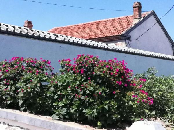 永不消失的大坡 永不消失的大坡