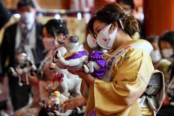 為機器狗“慶生” 為機器狗“慶生”