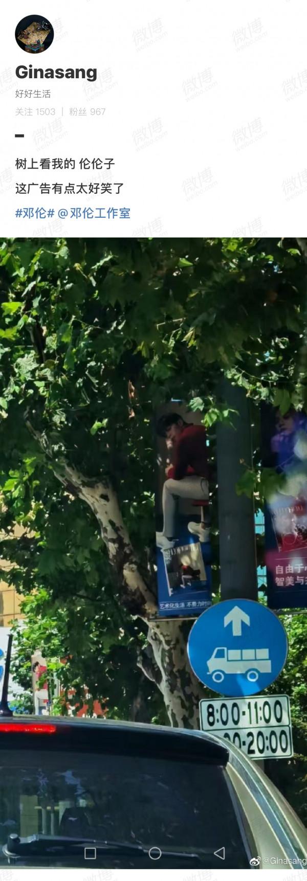 還以為鄧倫坐樹上了,盤點鄧倫那些搞笑的錯位神圖 還以為鄧倫坐樹上了,盤點鄧倫那些搞笑的錯位神圖