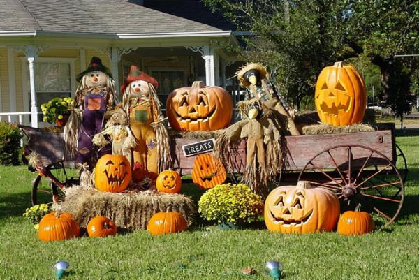 早教個“鬼”哦！快來get我的沉浸式萬聖節親子互動大全