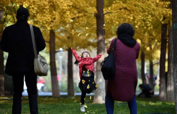 最愛北京，金秋如畫