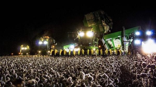 36張圖看精彩世界，巴西情侶被搶，男友撒腿就跑，女子仍淡定吃飯