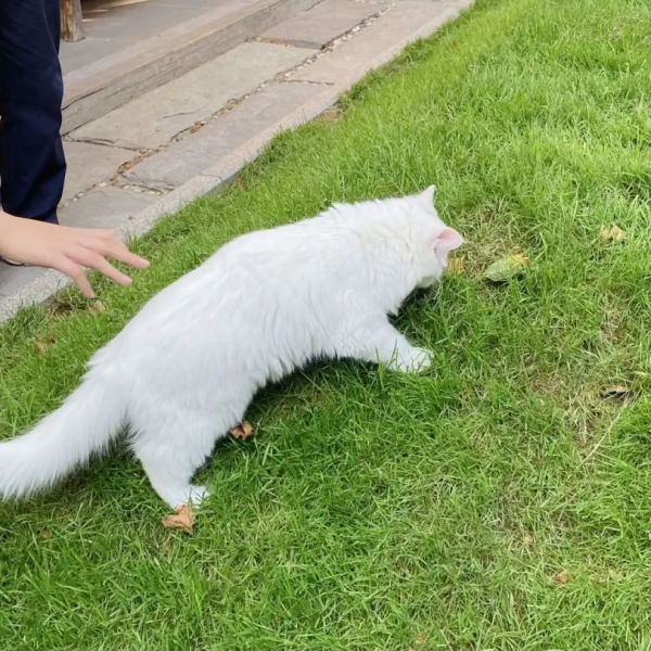 小孩淘氣，天經地義