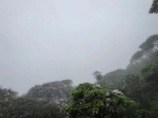 讀徐霞客遊記，既羨慕又慚愧，家鄉的景點都沒有他去得多