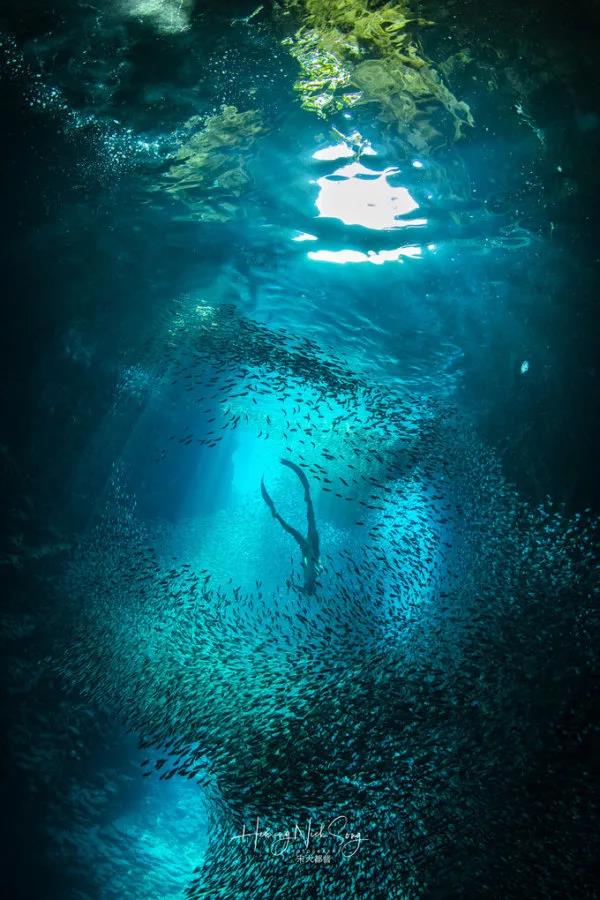 地球上最後的“淨土”，南太平洋未被開發的天堂，醉了