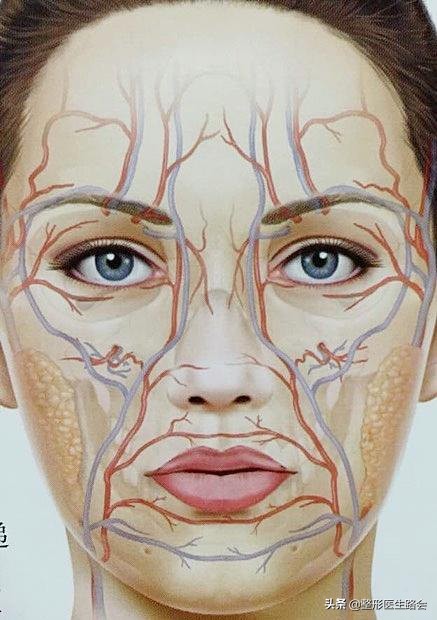 整形醫生“路會”告訴你，這5個部位最好別打玻尿酸