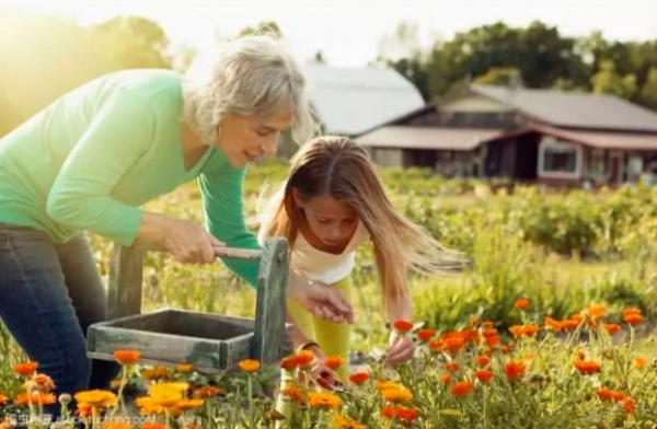 清華女博士石嫣：隱居山林種地11年收入800萬，未來農民是這樣？
