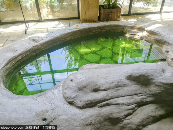 大雪丨冬日最適合做的9件事，你完成幾件了？