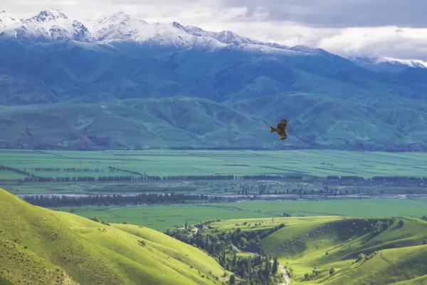 新疆那拉提草原風光 新疆那拉提草原風光