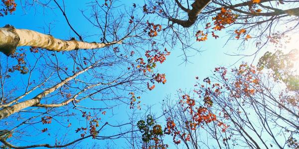 沿途皆如天堂!這10條深秋路線,去過一半就邂逅中國大半的美 沿途皆如天堂!這10條深秋路線,去過一半就邂逅中國大半的美