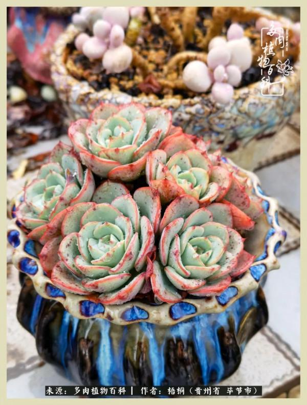 世間瞬息萬變，我們的友誼不變，閨蜜相聚，賞肉言歡