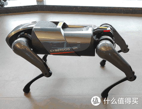 人生中養的第一條狗是機器狗！小米 CyberDog“鐵蛋”初體驗