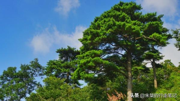 鮮為人知的大別山第一高峰 自然生態環境絕好 與中國第一古剎有關