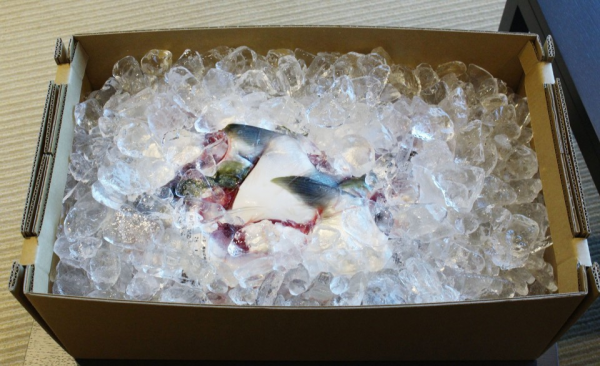 以&OpenCurlyDoubleQuote;過度包裝&rdquo;出名的日本商店們，也開始反思了