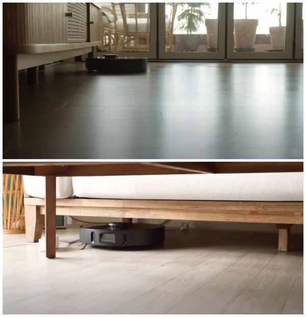 一人一狗，獨居生活有條有序，要是沒結婚，我也想過這樣的生活