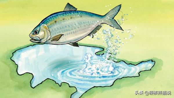 美國產業鏈危機2：坐擁產業頂端，為何被反噬？