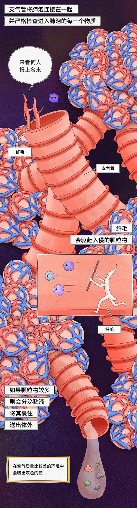 你的肺，就是這樣壞掉的