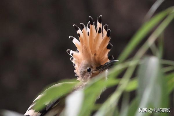 展現自己的美麗看心情