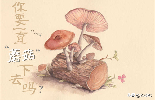 如何讓孩子擁有強者思維 如何讓孩子擁有強者思維