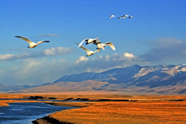 新疆十大冷門景點，人少景美好玩