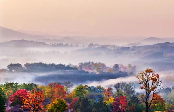 11月，看湖北，疊翠流金！