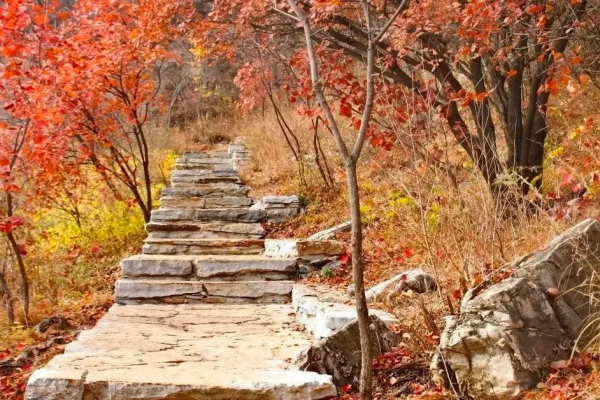 在北京過個秋天，立刻退掉了去騰衝的機票